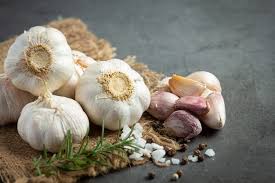 garlic for weight loss