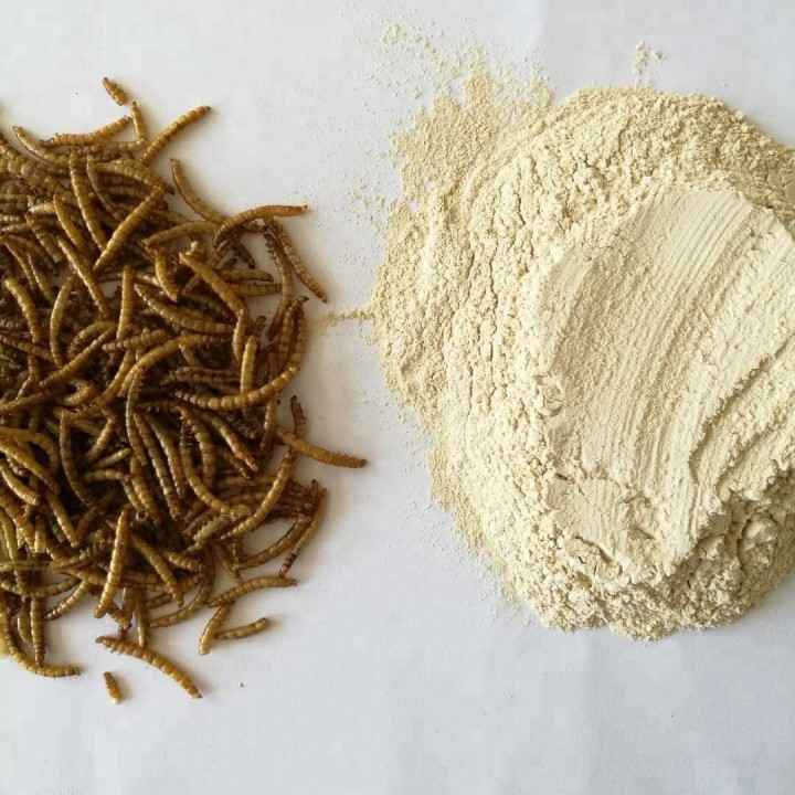 is protein powder made from worms