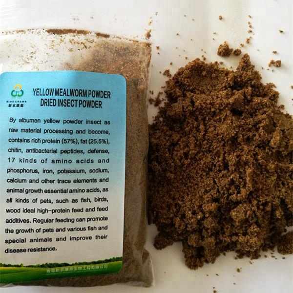 How Is Worm Protein Powder Made? 