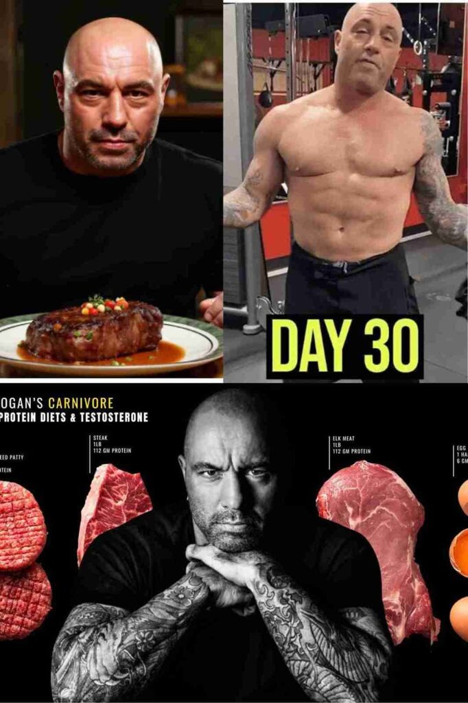 When did Joe Rogan start a carnivore diet, and why?