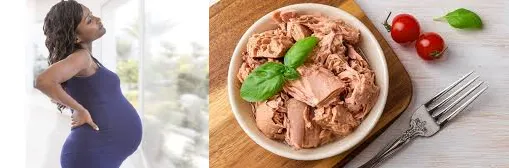 can i eat tuna while pregnant